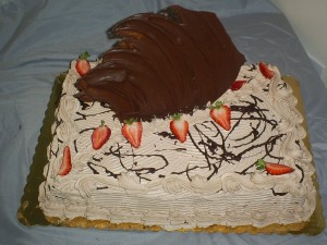 tasteandc.biz SAMSUNG DIGIMAX A503  