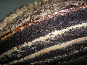 tasteandc.biz SAMSUNG DIGIMAX A503  