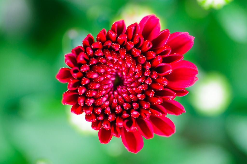 tasteandc.biz Portfolio item 2 tasteandc.biz Portfolio item 2