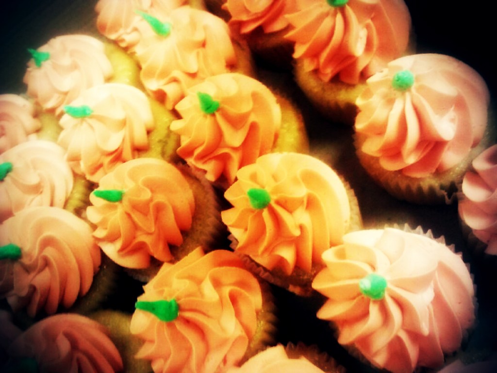 tasteandc.biz Pumpkin Patch  